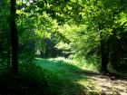 Picture 026