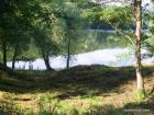 Picture 042