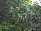 Picture 043