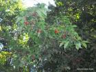 Picture 046