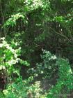 Picture 049