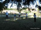 Picture 003