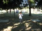 Picture 014