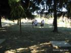Picture 016