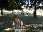 Picture 017