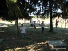 Picture 018