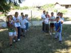 Picture 019