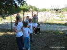 Picture 020