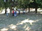 Picture 024