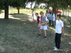 Picture 026
