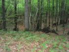 SAM_0354