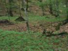 SAM_0356