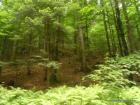 SAM_0363
