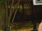 SAM_0364