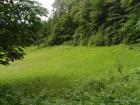 SAM_0366