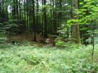 SAM_0369