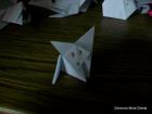 319068_2067960814001_1094229538_31931828_1230201881_n
