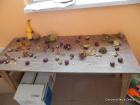 DSCN0459