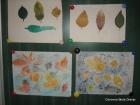 Picture 037