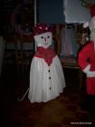 IMG_0063-1