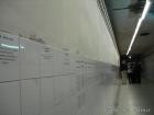 10-DSC08171