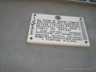 31-DSC08195