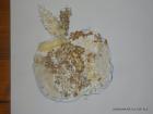 09-Dani Kruha 015