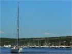 Punat: Marina