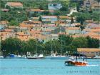 Punat
