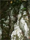 113-P1220629