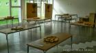 OSNOVNA SKOLA DRENJE, DRENJE (18)