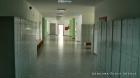 OSNOVNA SKOLA DRENJE, DRENJE (5)