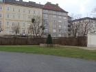 DSC03456