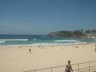 Bondi Beach 