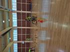 IMG_20220430_102511