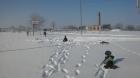 20170120_104924
