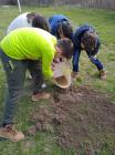 IMG_20210310_101453_1