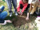 IMG_20210304_104811