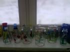 P301009_13.45_[02]