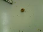 P301009_10.41_[01]