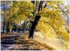 Cakovec-Jesen-Park2