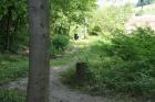 GLOBE-CAKOVEC-12-5-2011 (58)