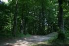 GLOBE-CAKOVEC-12-5-2011 (7)
