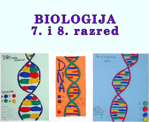 biologija-radovi uenika