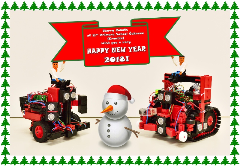 Robotic Challenge