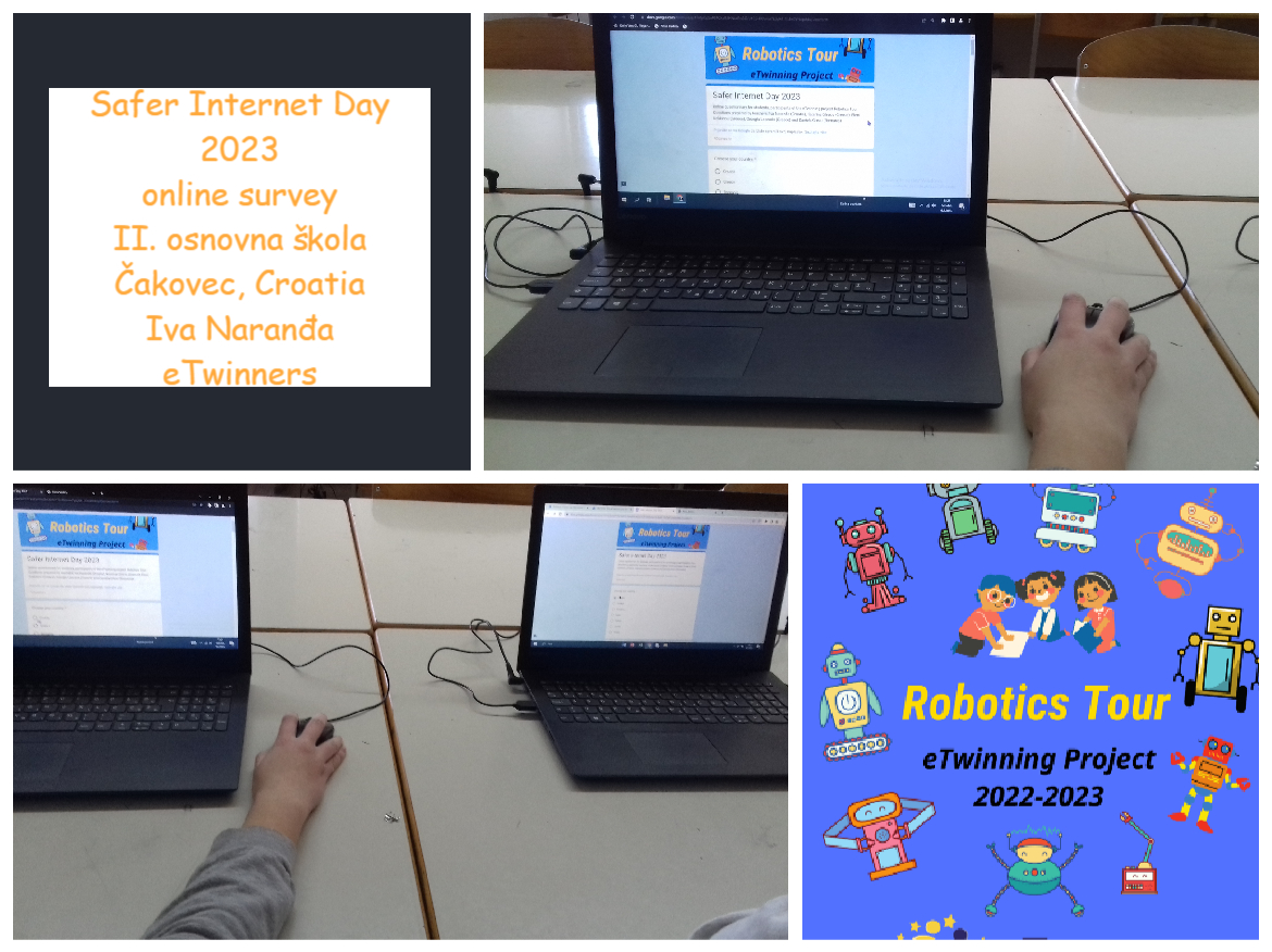Safer Internet Day - survey