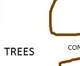 TREES