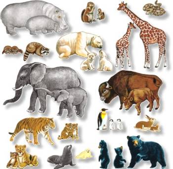 ANIMALS