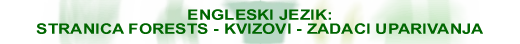 ENGLESKI JEZIK