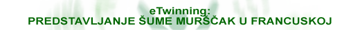 eTwinning